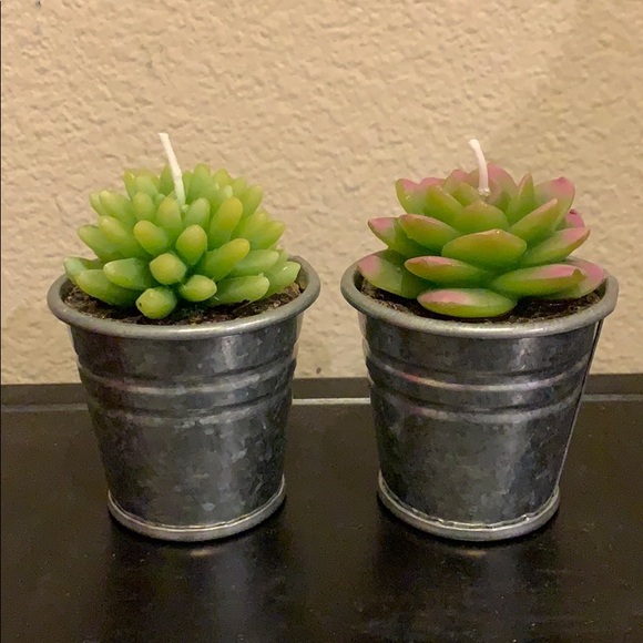 ***SOLD***Pottery Barn succulent candle set - Picture 3 of 4